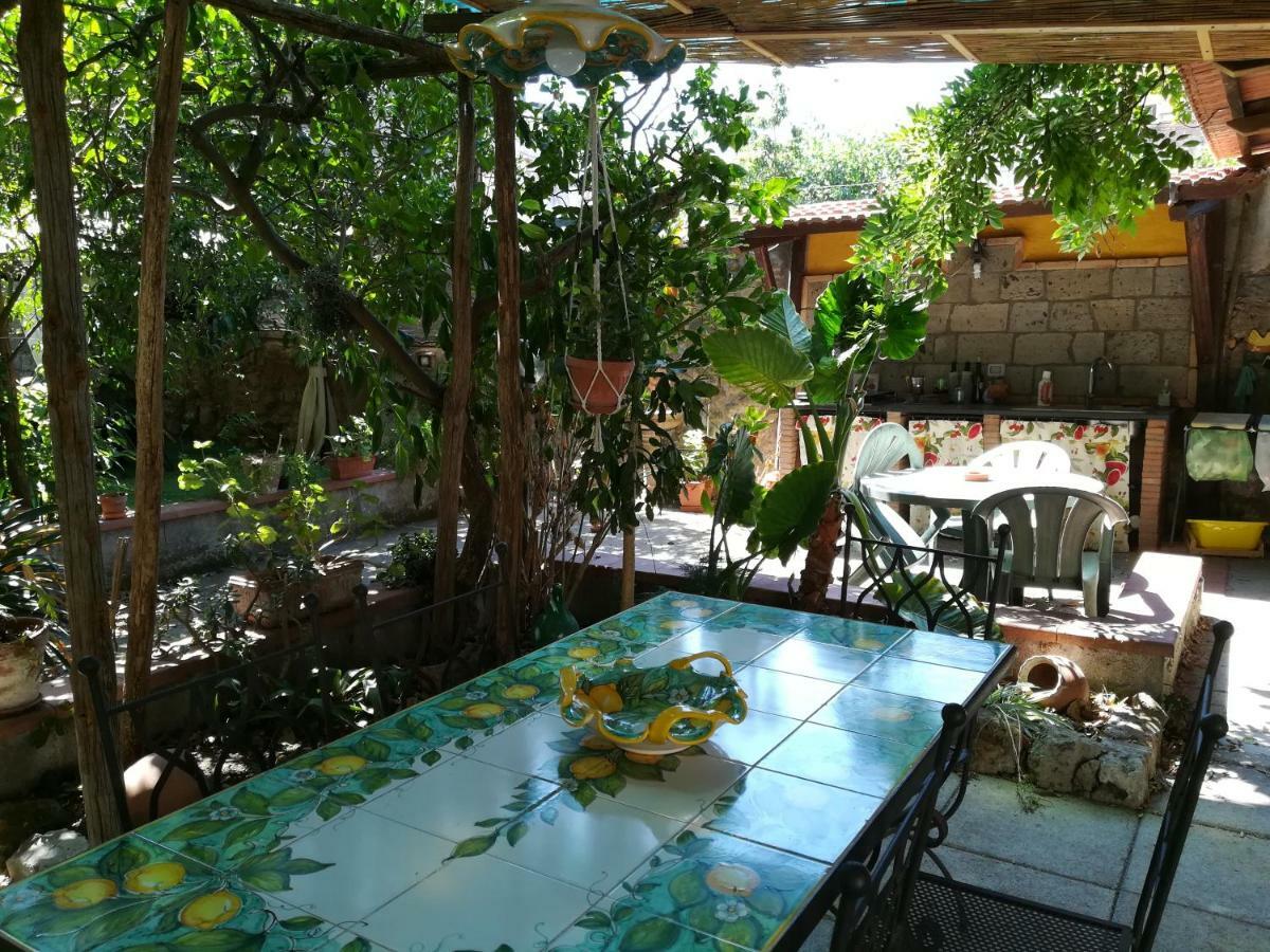 Villino L'Aranceto Sorrentino Bed & Breakfast Meta Eksteriør bilde