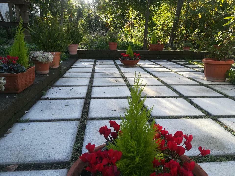 Villino L'Aranceto Sorrentino Bed & Breakfast Meta Eksteriør bilde